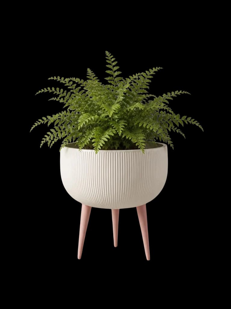 Giardino, A small garden on three slender legs.